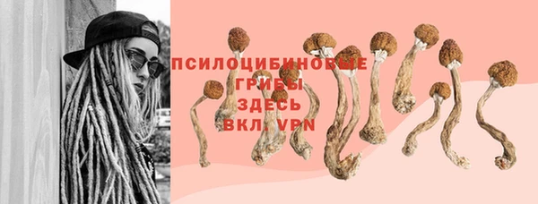 ПСИЛОЦИБИНОВЫЕ ГРИБЫ Белоозёрский