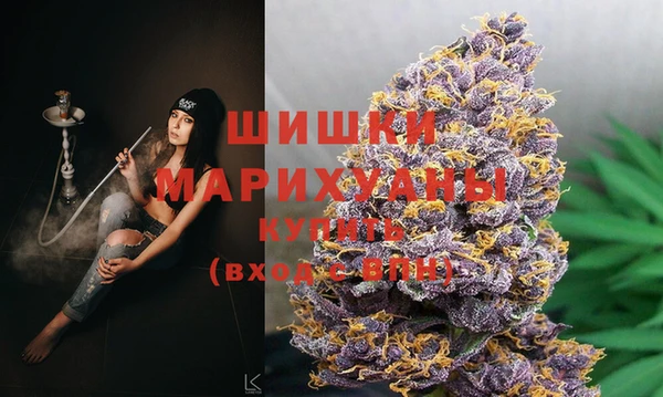 амф Балахна