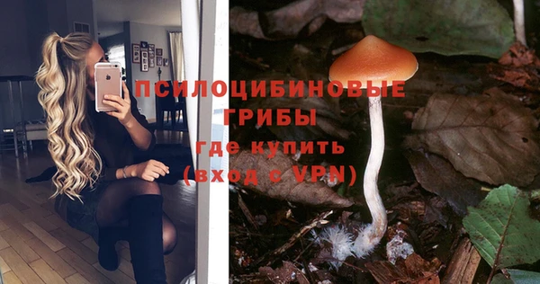 альфа пвп Баксан