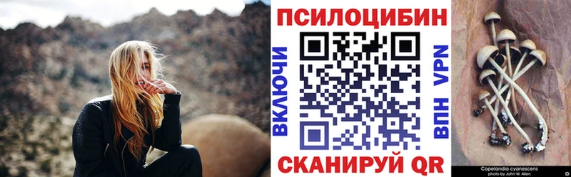 Купить  Кулебаки  Галлюциногенные грибы Psilocybe 